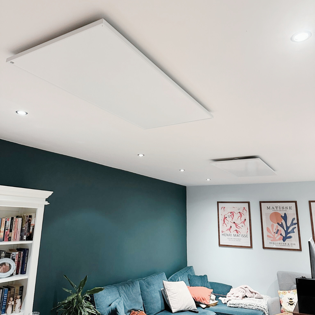 1100W Classic Infrared Heating Panel